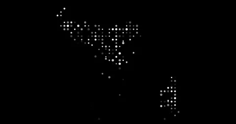 Dynamic Particle Map Forming Tonga Silhouette Outline Stock Footage 319495487