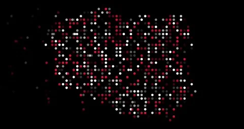Dynamic Particles Assemble to Form Poland Map Contour Stock Footage 319000572