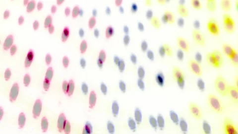 Dynamic Pastel Prism Reflections Stock Footage 304370801