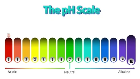 Dynamic pH scale animation illustrating acidic, neutral, and alkaline value.. Stock Footage 333879441