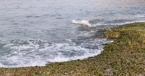 Dynamic powerful ocean or sea wave or wave setup hits on granite rock coast c Stock Footage 155225021