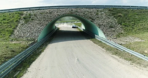 Dynamic pull out drone shot of a racing car. Stock Footage 89416296