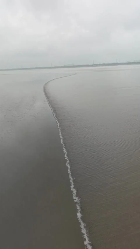 Dynamic Qiantang River Tidal Bore Moving Across the River in Zhejiang, China Stock Footage 337380855