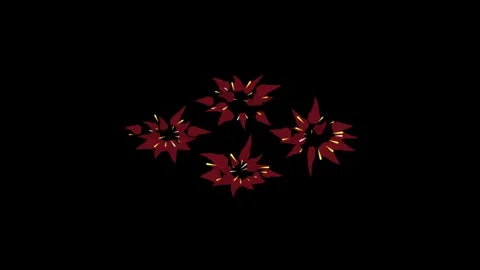 Dynamic red flower petal animation blooming and swirling on dark background.. 库存影片 348192016