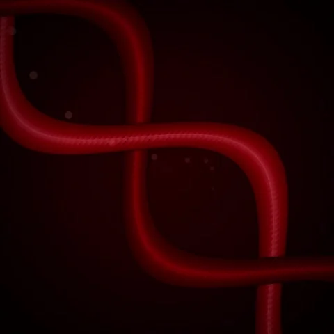Dynamic red flowing abstract energy lines on a deep black background Stock Footage 345690406