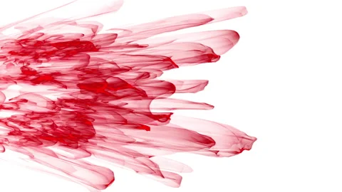 Dynamic red paint strokes on a white background create a vibrant abstract design Stockbeeldmateriaal 280139712