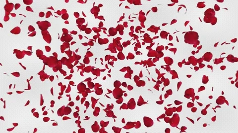 Dynamic Red Rose Petals Alpha Burst Stock Footage 319814207