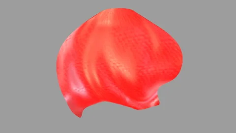 Dynamic Red Superhero Cape Flowing in 3D Fabric, with Luma mate. Stock Footage 335886031