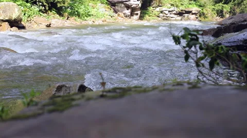 Dynamic River Rapids Stock Footage 310452863