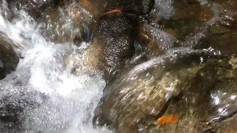 The Dynamic Rush of a Mountain Stream Vídeos de archivo 332156895