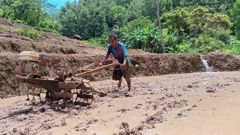 A dynamic scene of a dedicated young Asian farmer operating a heavy-duty tractor Stock Footage 321932035