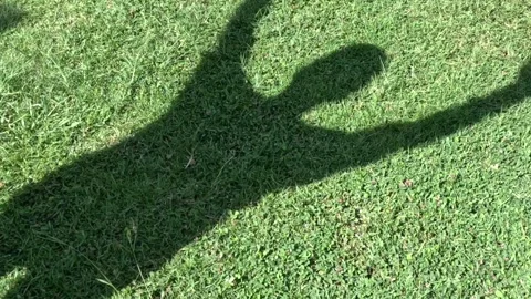 Dynamic Shadow Gestures on Green Grass 库存影片 305899898