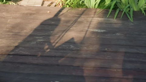 Dynamic Shadows And Textures Illustrate Active Summer Day Outdoors, Lively Scene Stock Footage 329530065