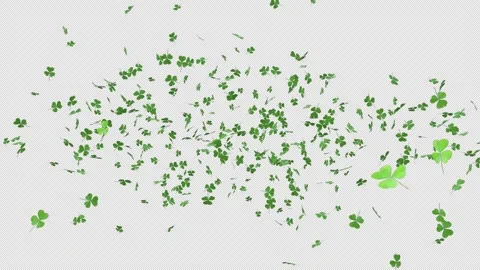 Dynamic Shamrock Leaves Alpha Explosion Stock Footage 329744151