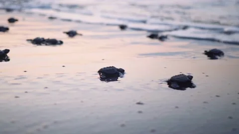 Dynamic shot with camera movement and ra... | Stock Video | Pond5