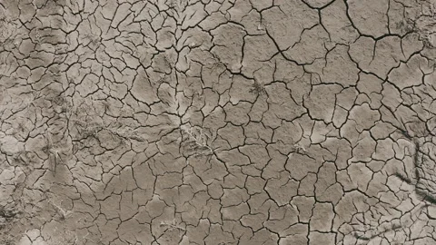 Dynamic shot of cracked soil ground of dried lake Stock-Footage 151490070