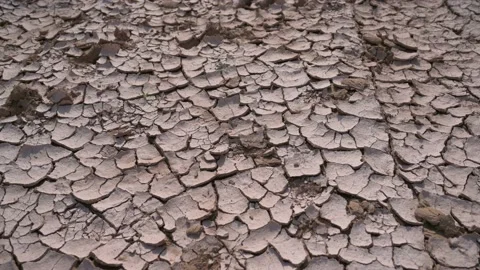 Dynamic shot of dry clay,left to right movement Stock Footage 195656838