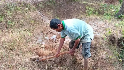 Dynamic shot of an Indonesian farmer. Video stock 321933596