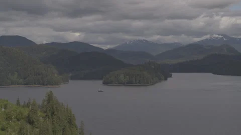 Dynamic shot of Pine Tree woods with Large Lake in Center and Mountains in Back Stock Footage 255319469