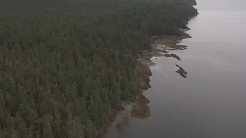 Dynamic Shot Pine Trees on Rocky Coast Next to Lake in Alaska Drone Stock Footage 255318785