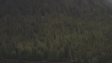 Dynamic shot side of Tree Covered Mountain Alaska drone Stock Footage 255317992