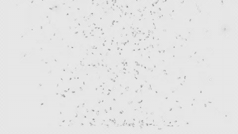 Dynamic Silver Confetti Burst and White Starbursts With alpha channel Stock Footage 339785884