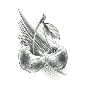 Dynamic sketch of two cherries with leaf in monochrome style, hand drawn line Stock Illustration