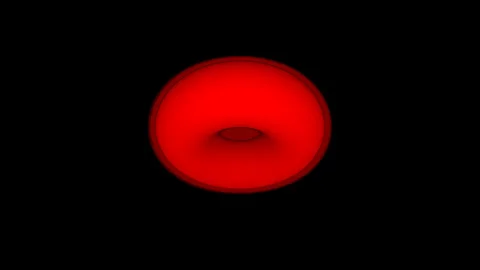 Dynamic Smooth Red Shapes in Transition: A Visual Exploration Video stock 291071991
