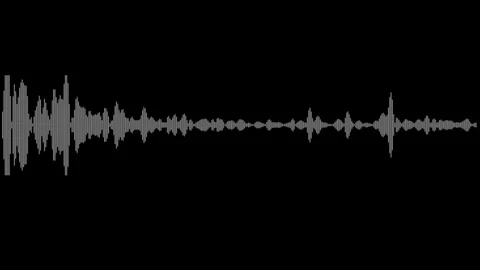 Dynamic Sound Wave Patterns in Sleek Monochrome Depicting Vibrant Audio Vis.. Stock Footage 341780379