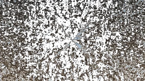 Dynamic Speckled Patterns in Motion Hypnotic Swirling Textures Animation Stock Footage 302684184