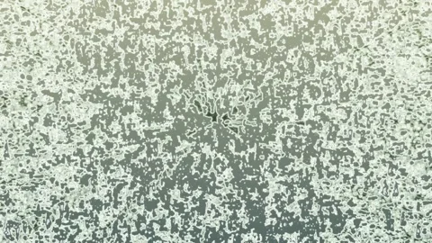 Dynamic Speckled Patterns in Motion Hypnotic Swirling Textures Animation Stock Footage 302684290