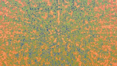 Dynamic Speckled Patterns in Motion Hypnotic Swirling Textures Animation Stock Footage 302686113