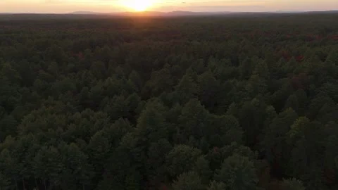 Dynamic Spin and Forward Drone Shot Of Forest at Sunset with Sun Stock Footage 317650286