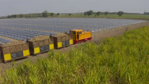 Dynamic Sugar Train Action Stock-Footage 169403206