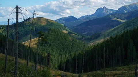 Dynamic Summer Clouds Over Lush Tatra Mountains Panorama Stock Footage 308189494