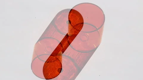 Dynamic Sunlight Through Red Cylinder Geometric Objects Stock Footage 305072763