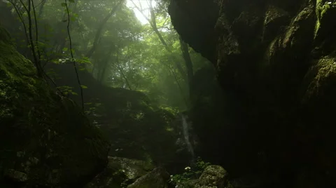 Dynamic tear with mist in forest different angle, Rock garden Ootsuki in Japan Stock Footage 66558427