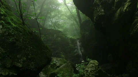 Dynamic tear with mist in forest, Rock garden Ootsuki in Japan 動画素材 66558588
