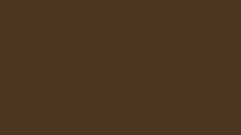 Dynamic Text Animation Appearing on a Solid Bright Red Background in a Video stock 338368992