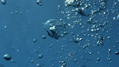 Dynamic Tilt Up of Scuba Bubbles Floating to Water Surface Stock Footage 332731789