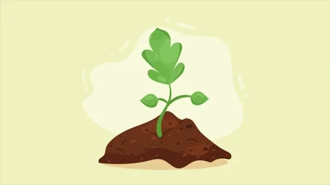 A dynamic time-lapse video shows a small green sprout emerging from a pile .. Видео 339059541