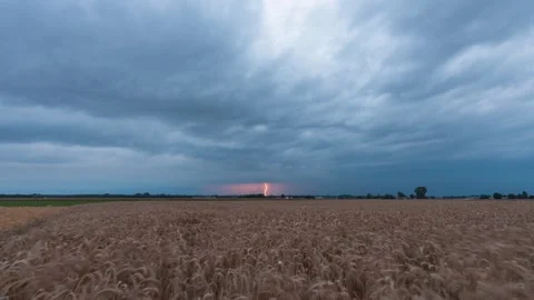 A dynamic timelapse clip featuring an approaching lightning storm. Stock Footage 301424315