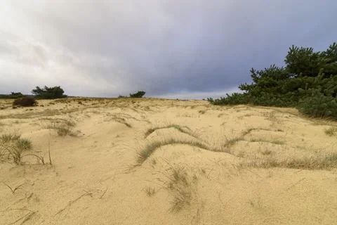 Dynamic timelapse with clouds over sand dunes with grasses Video stock 146185815
