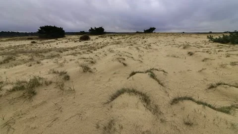Dynamic timelapse with clouds over sand dunes with grasses Stock Footage 146185824