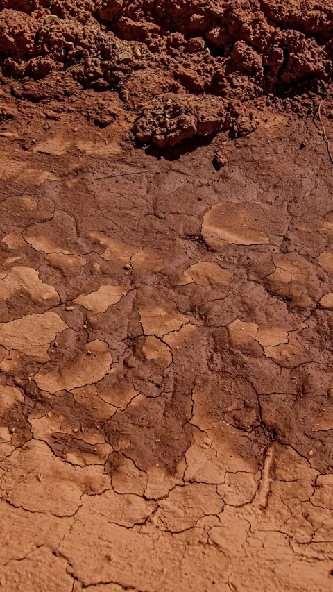 Dynamic Timelapse of Cracked Red Earth Surface in Vertical Format Stock Footage 316583658