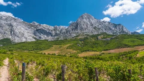 Dynamic timelapse of a mountain valley vineyard in the Mediterranean. Clouds Stock Footage 314942351