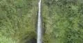 Dynamic Tracking Shot, Hawaii, Big Island, Akaka Falls, Rain forest Waterfall 4k or 4k+ Resolution