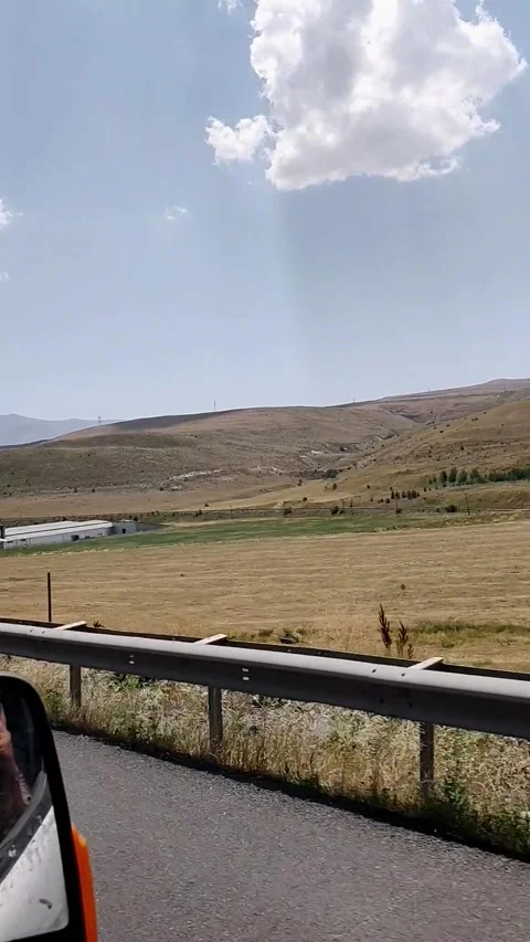A dynamic tracking shot from a vehicle passing a row of tall trees, leading into Stock-Footage 333376423
