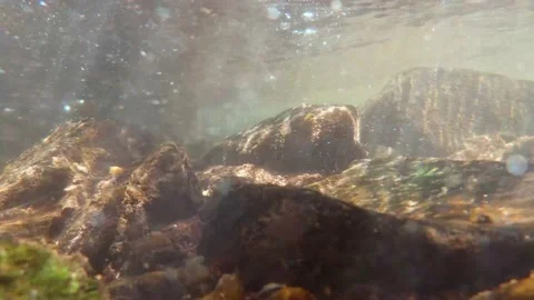 Dappled sunlight on river and river rocks Australian bush Stock