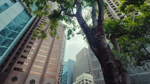 A dynamic urban landscape from a low-angle perspective featuring towering Video stock 338311520